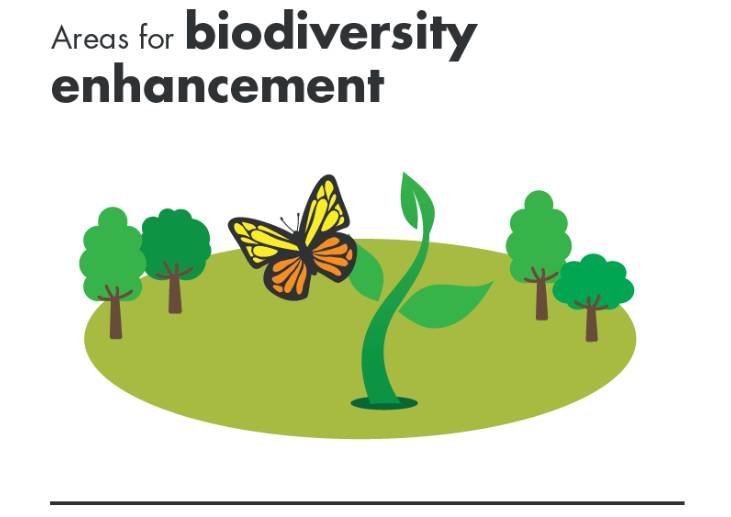Biodiversity
